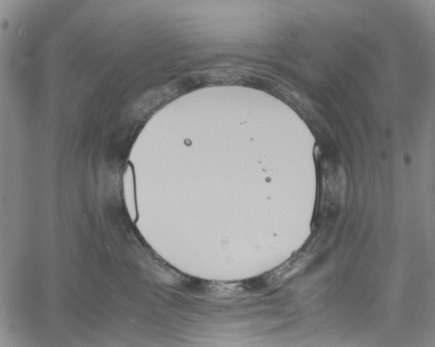 X0000060800333200512082156