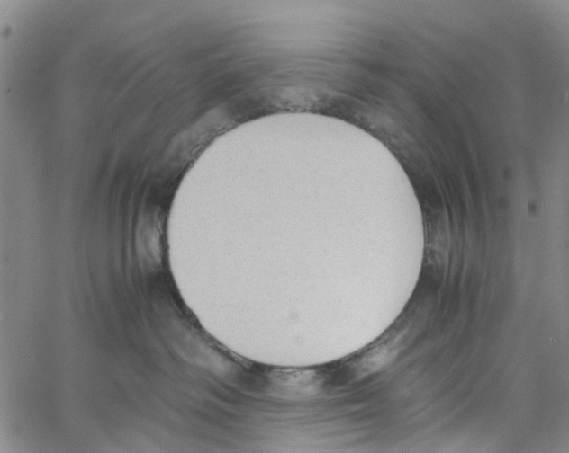 X0000060800334200512082156