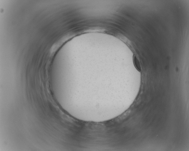 X0000060800337200512082155