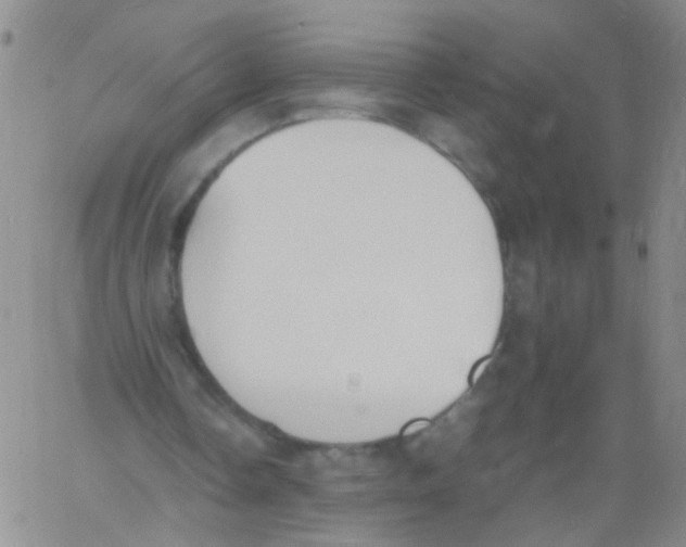 X0000060800338200512082155