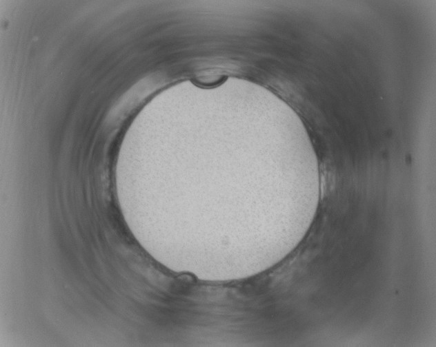 X0000060800339200512082155