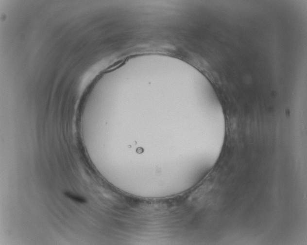 X0000060800340200512082155