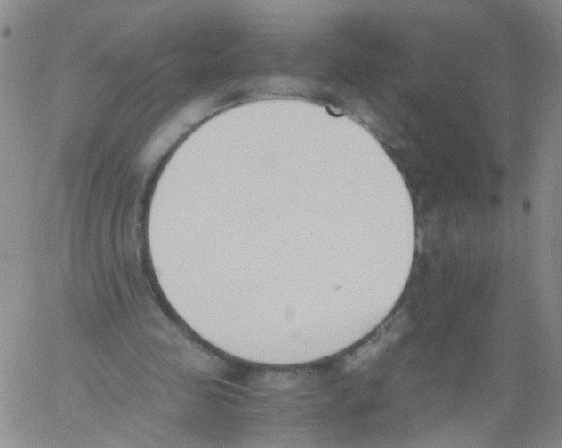 X0000060800341200512082155