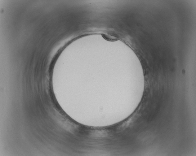 X0000060800342200512082155