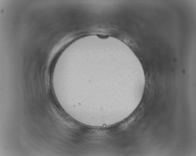 X0000060800343200512082155