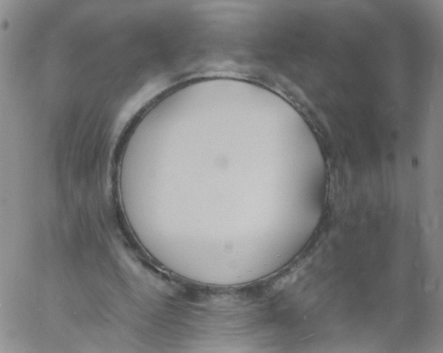 X0000060800344200512082155