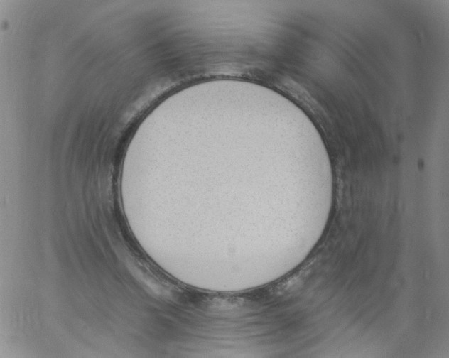 X0000060800346200512082155