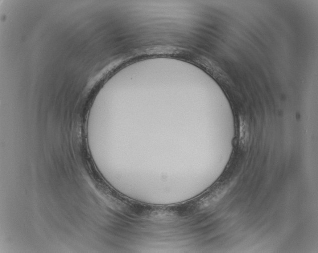 X0000060800348200512082155