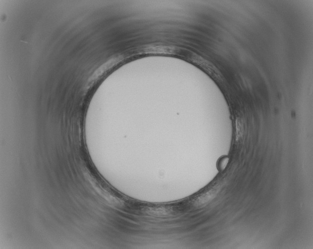 X0000060800349200512082155