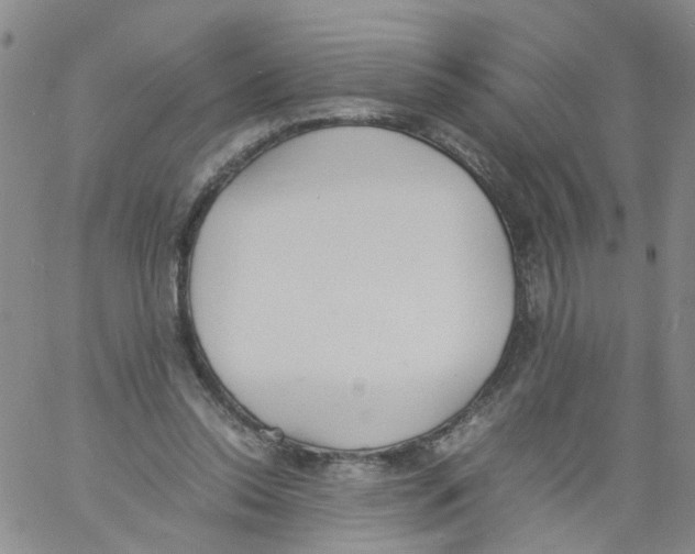 X0000060800350200512082155