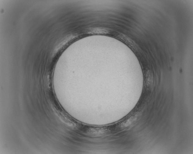 X0000060800351200512082155