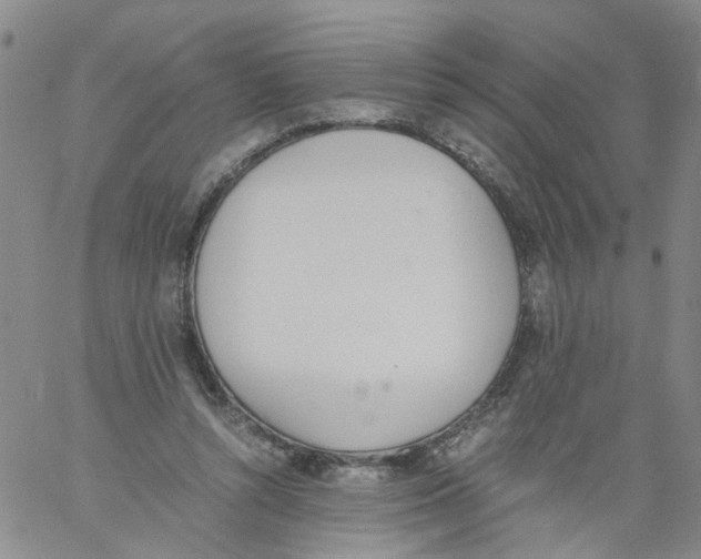 X0000060800352200512082155