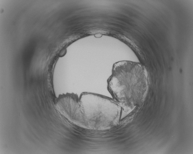 X0000060800353200512082155