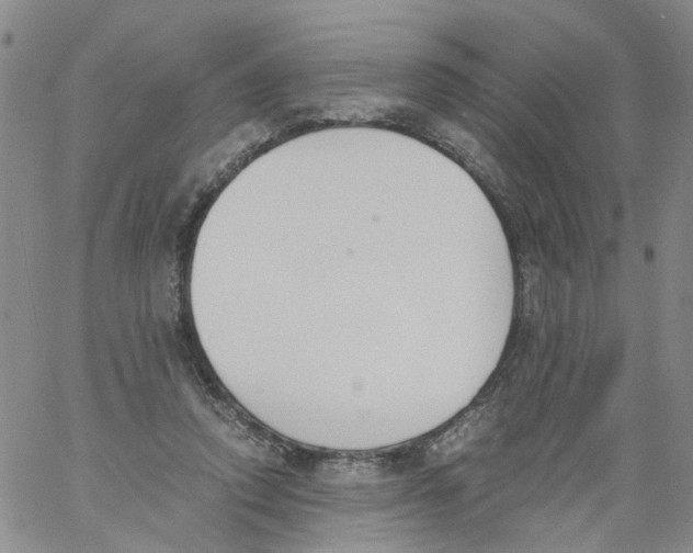 X0000060800354200512082155