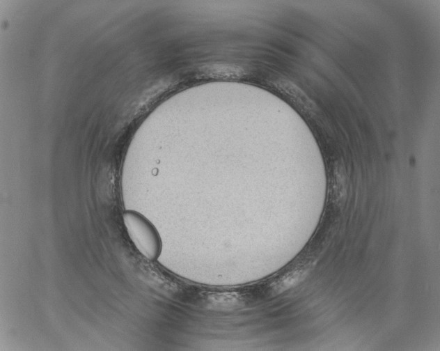 X0000060800355200512082155