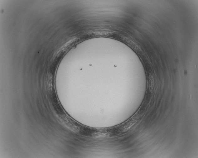 X0000060800356200512082155