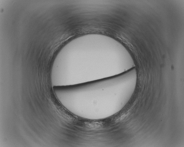 X0000060800359200512082155