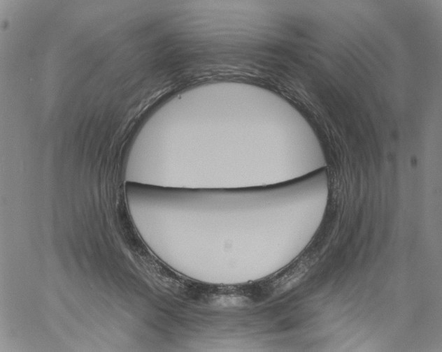 X0000060800360200512082155