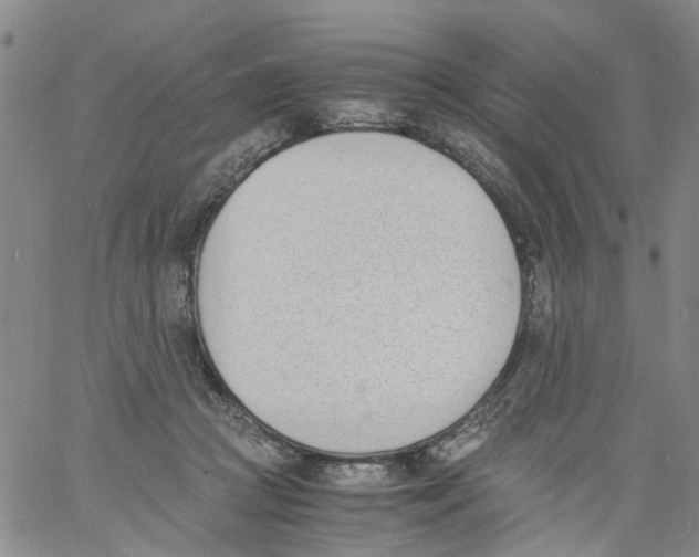 X0000060800361200512082156