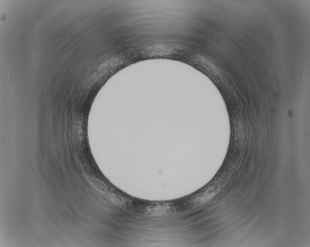 X0000060800362200512082156