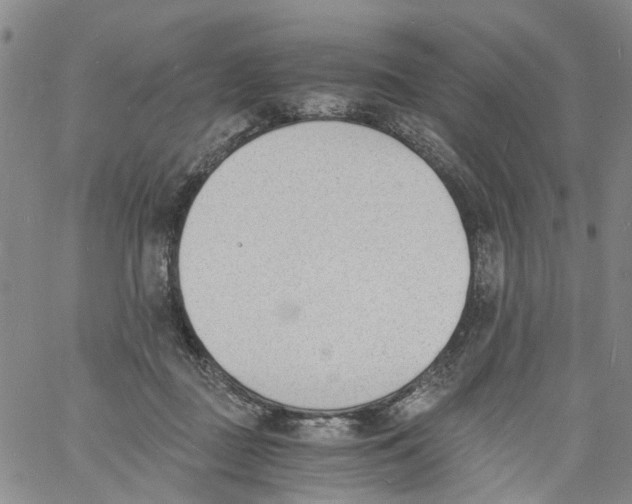 X0000060800363200512082156