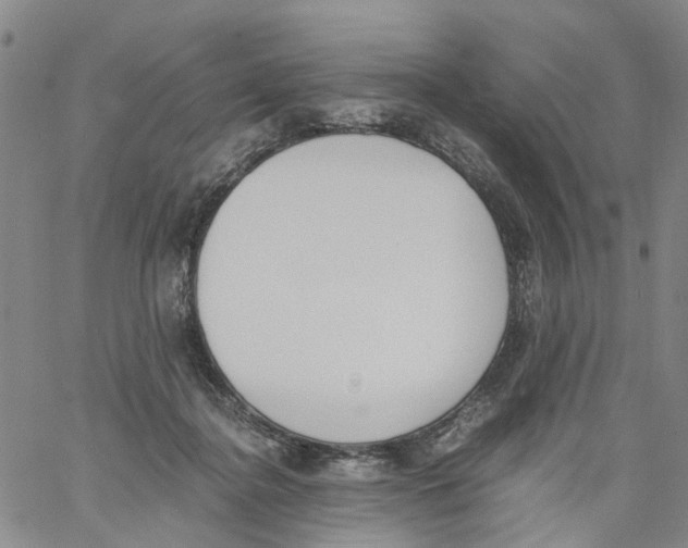 X0000060800364200512082156