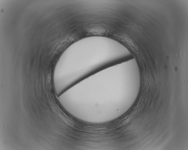 X0000060800365200512082156