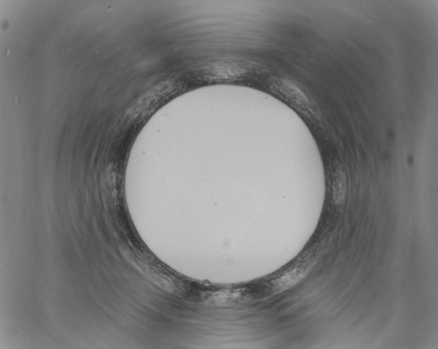 X0000060800366200512082156