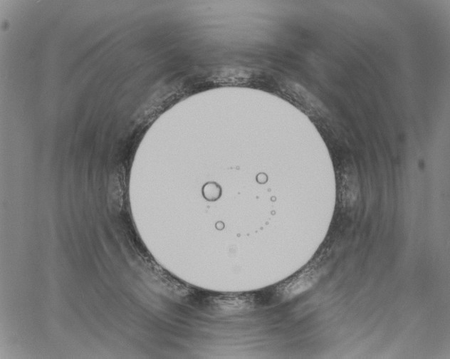 X0000060800370200512082156