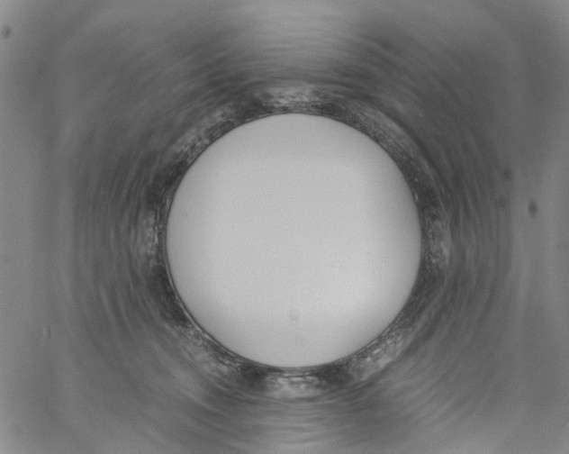 X0000060800372200512082156