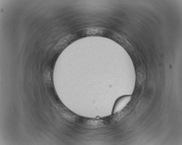 X0000060800375200512082156