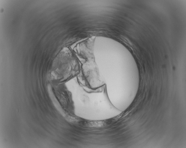 X0000060800377200512082156