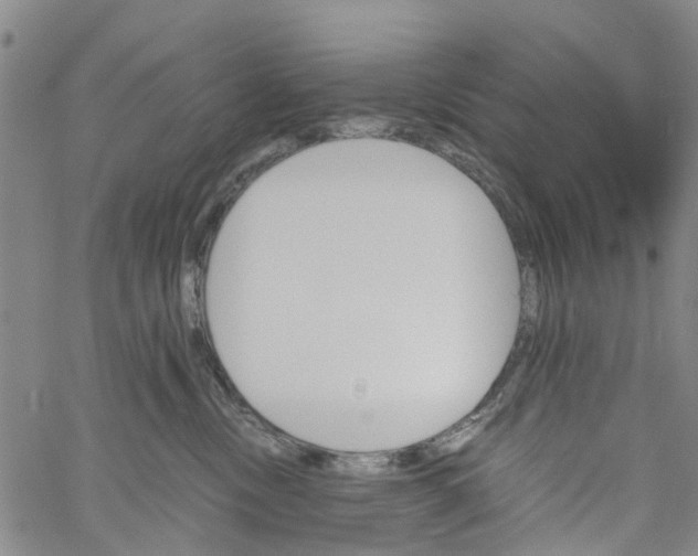 X0000060800378200512082156