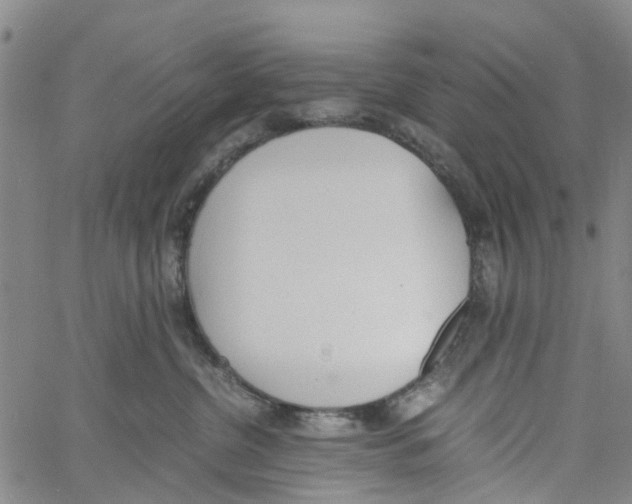 X0000060800380200512082156