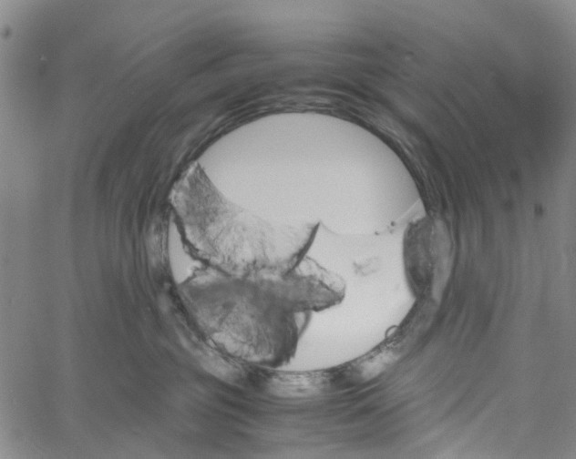 X0000060800381200512082156