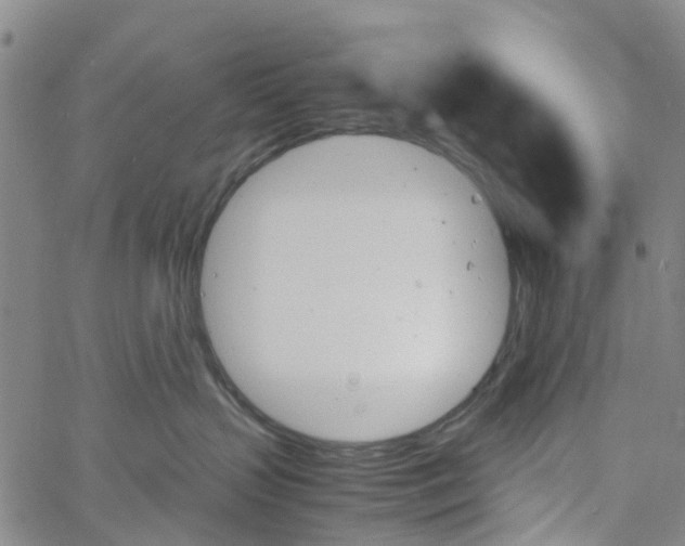 X0000060800383200512082156