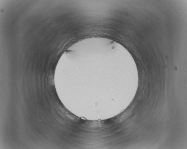 X0000060800384200512082156