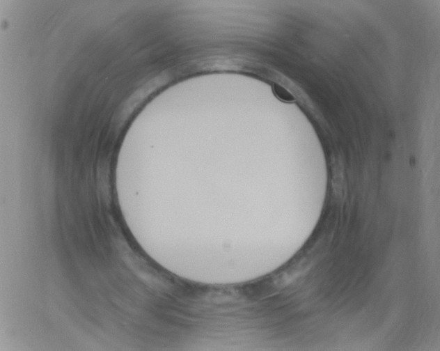 X0000060800386200512082155