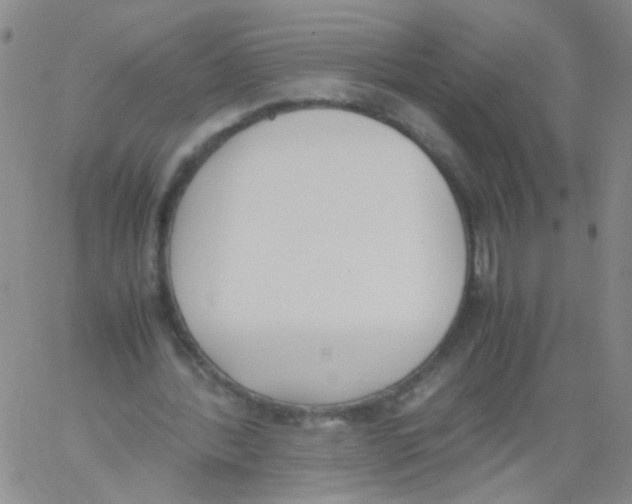 X0000060800388200512082155