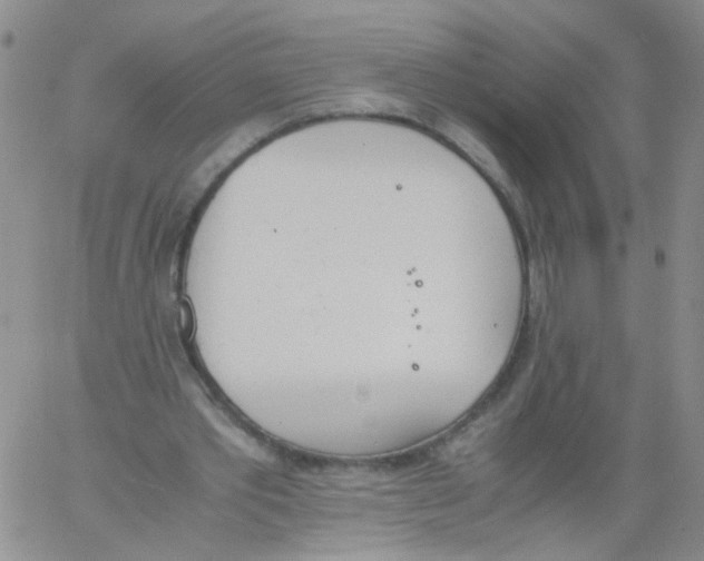 X0000060800389200512082155