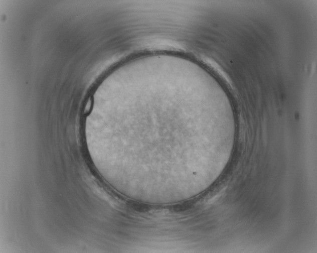 X0000060800391200512082155