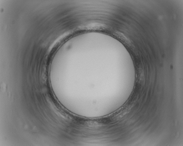 X0000060800392200512082155