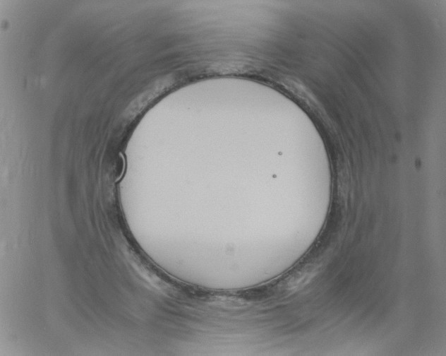 X0000060800393200512082155