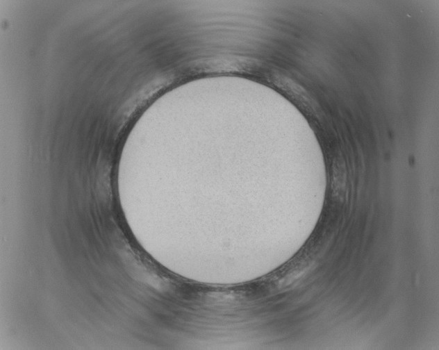 X0000060800394200512082155