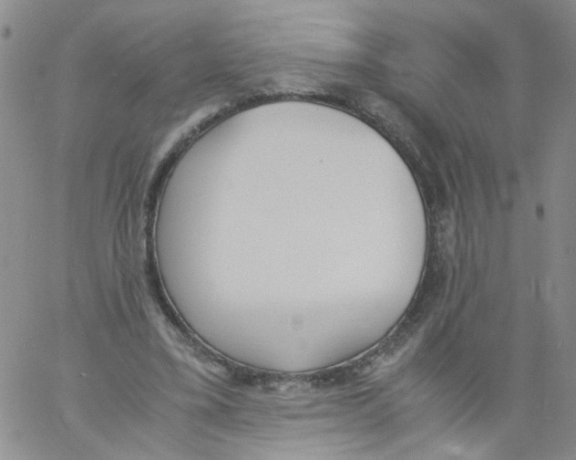 X0000060800395200512082155