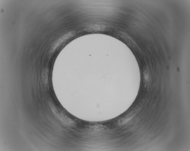 X0000060800396200512082155