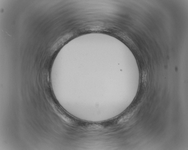 X0000060800397200512082155