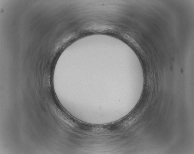 X0000060800399200512082155