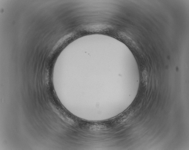 X0000060800400200512082155