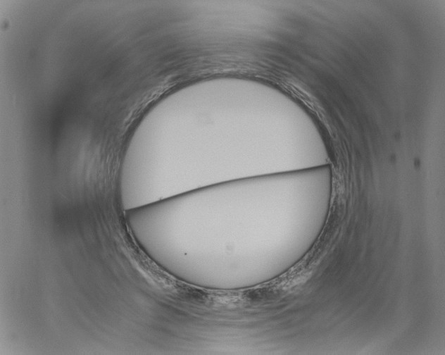 X0000060800401200512082155